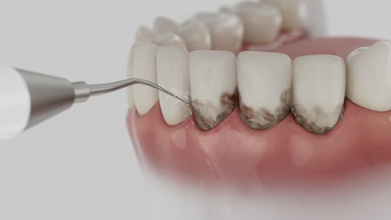 Reliable Dental contractor in Oliver, PA by Dentist Open Now